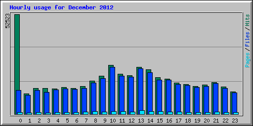 Hourly usage for December 2012