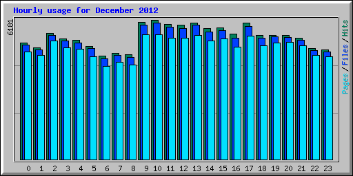 Hourly usage for December 2012