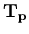 ${\bf T_p}$