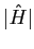 $\vert\hat{H}\vert$