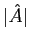 $\vert\hat{A}\vert$