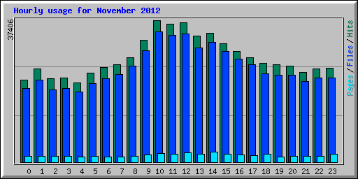 Hourly usage for November 2012