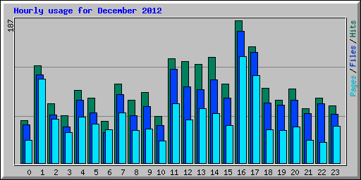 Hourly usage for December 2012