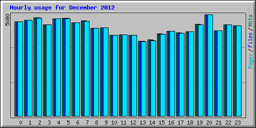 Hourly usage for December 2012