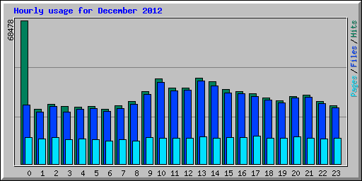 Hourly usage for December 2012
