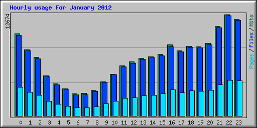 Hourly usage for January 2012