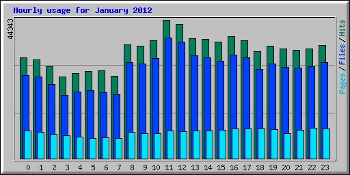 Hourly usage for January 2012