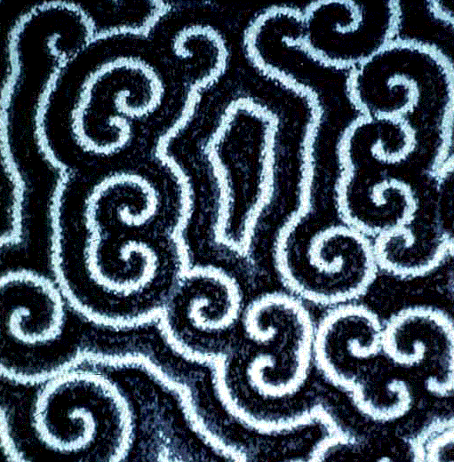 Professor Henry Greenside's Physics 313 (Nonequilibrium Physics)